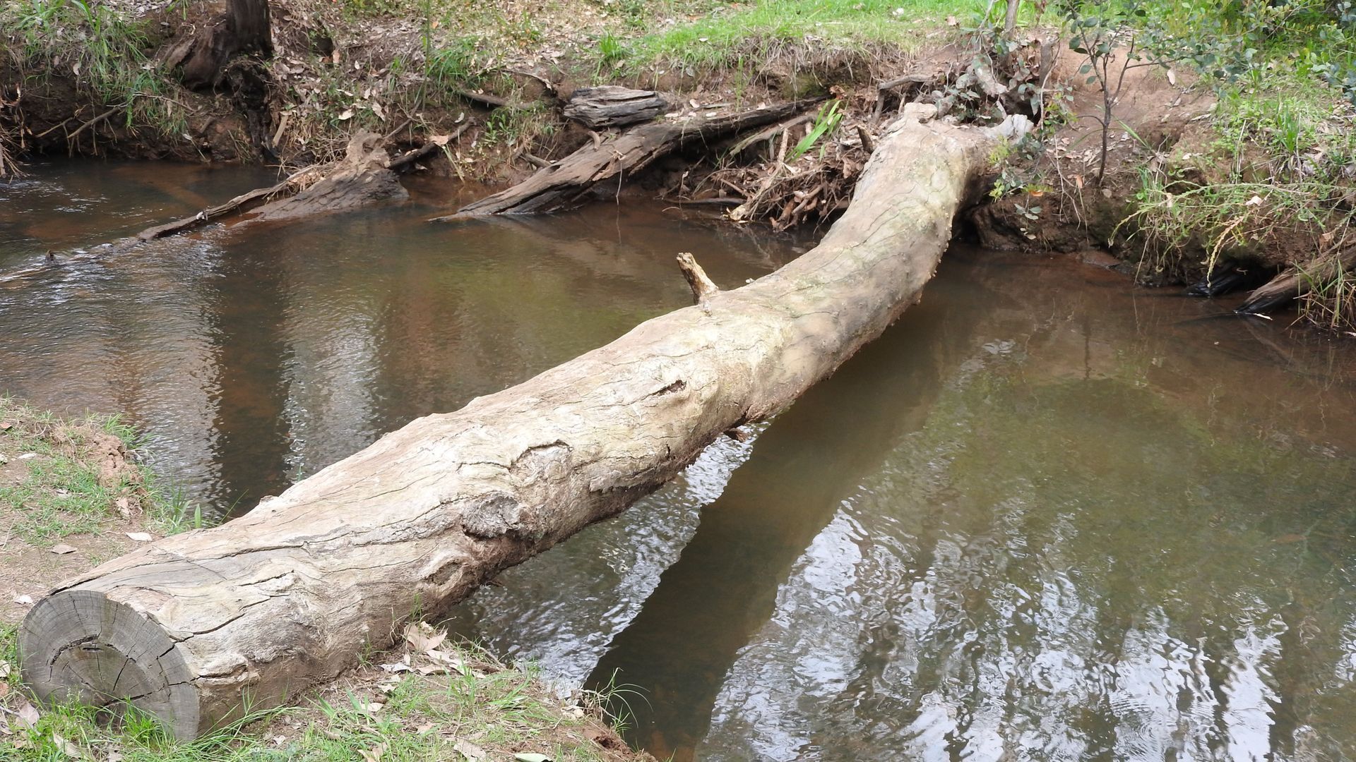 Cockatoo Hills \nPerth Hills  — image 23