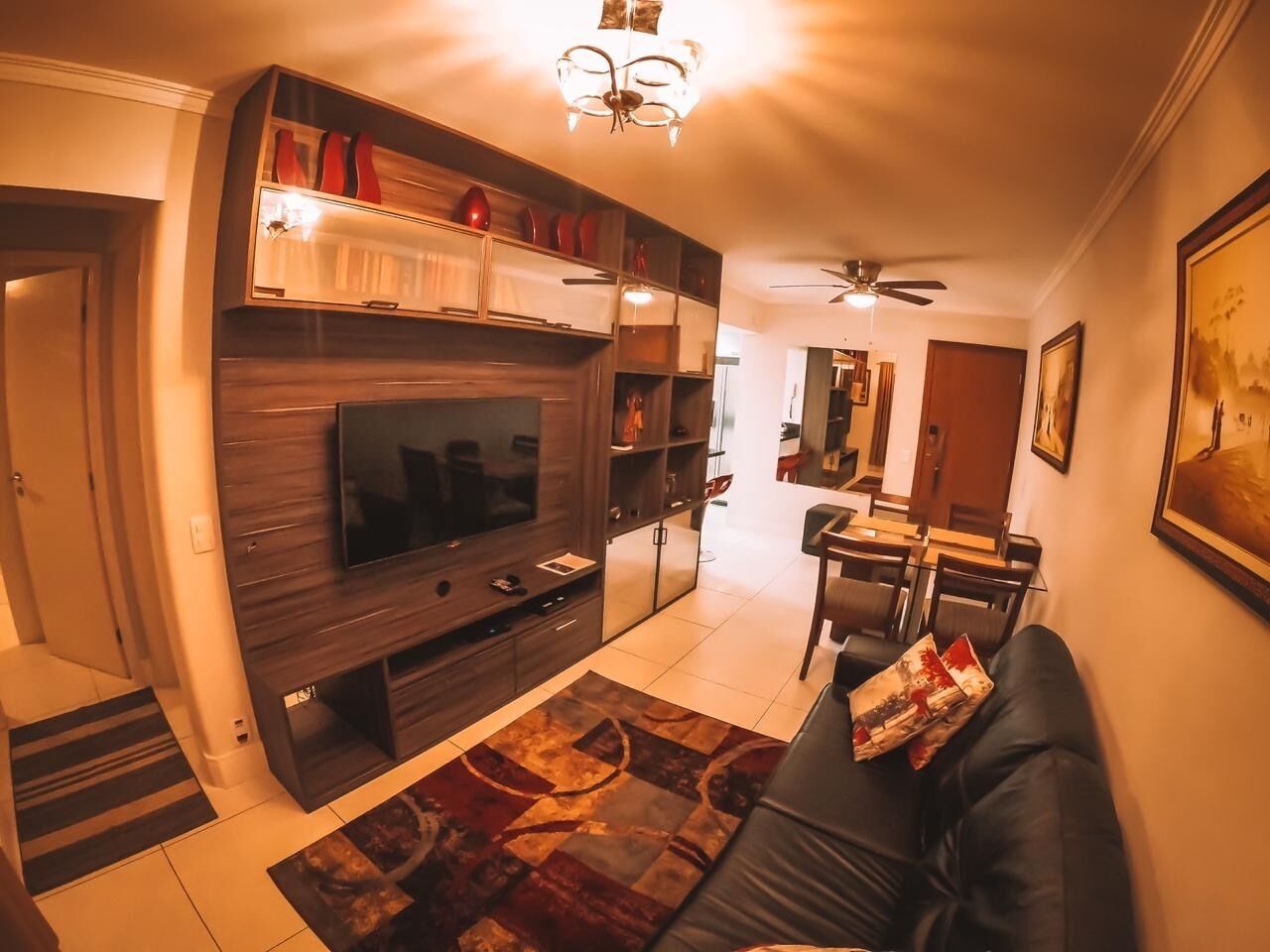 TV, DVD player, books