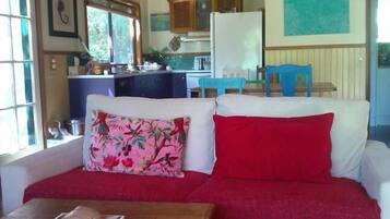 TV, fireplace, DVD player, books