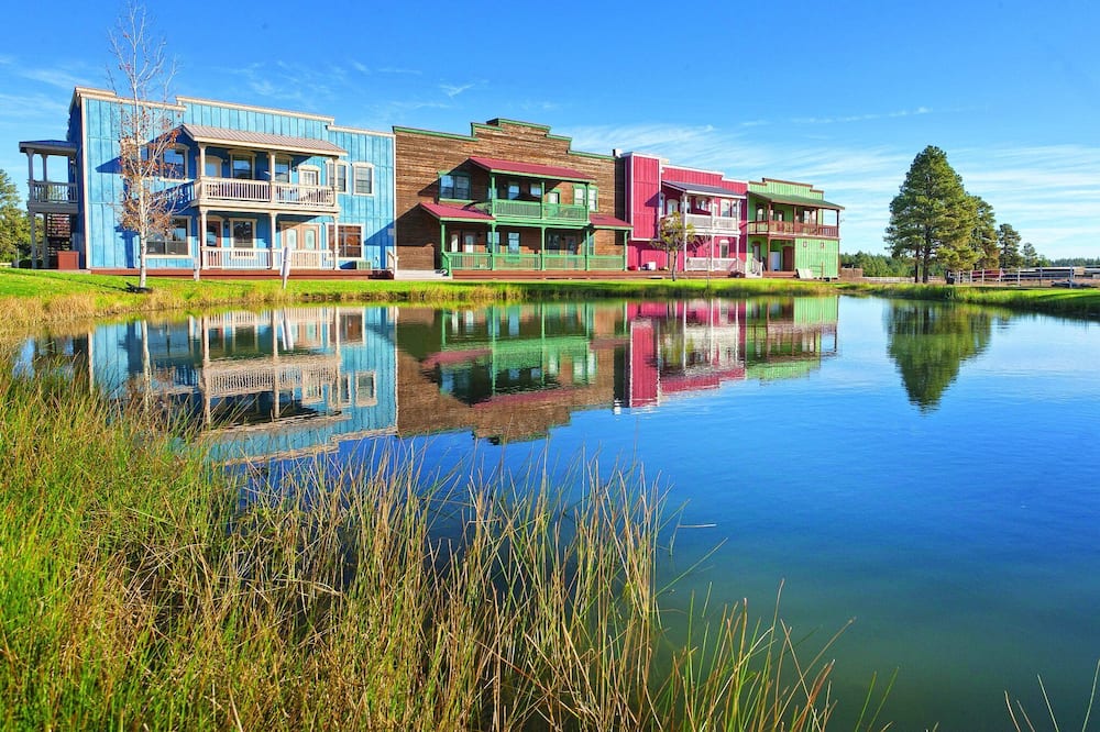 Stunning canyons and lush forest!