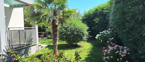 A well-maintained garden with a palm tree, various shrubs, and flowers.