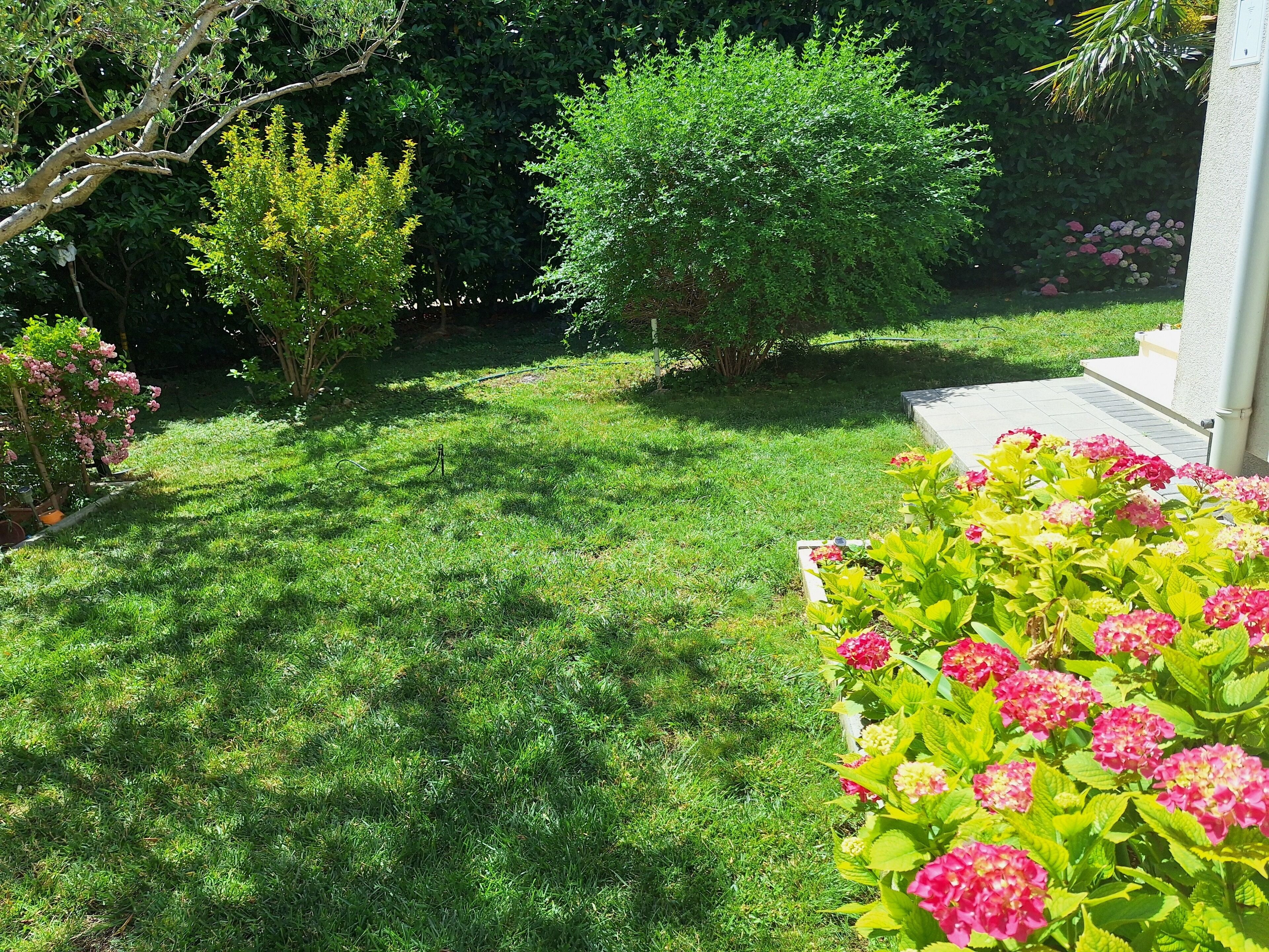 A well-maintained garden with a variety of shrubs and flowering plants, a lawn, and a pathway leading to a building.