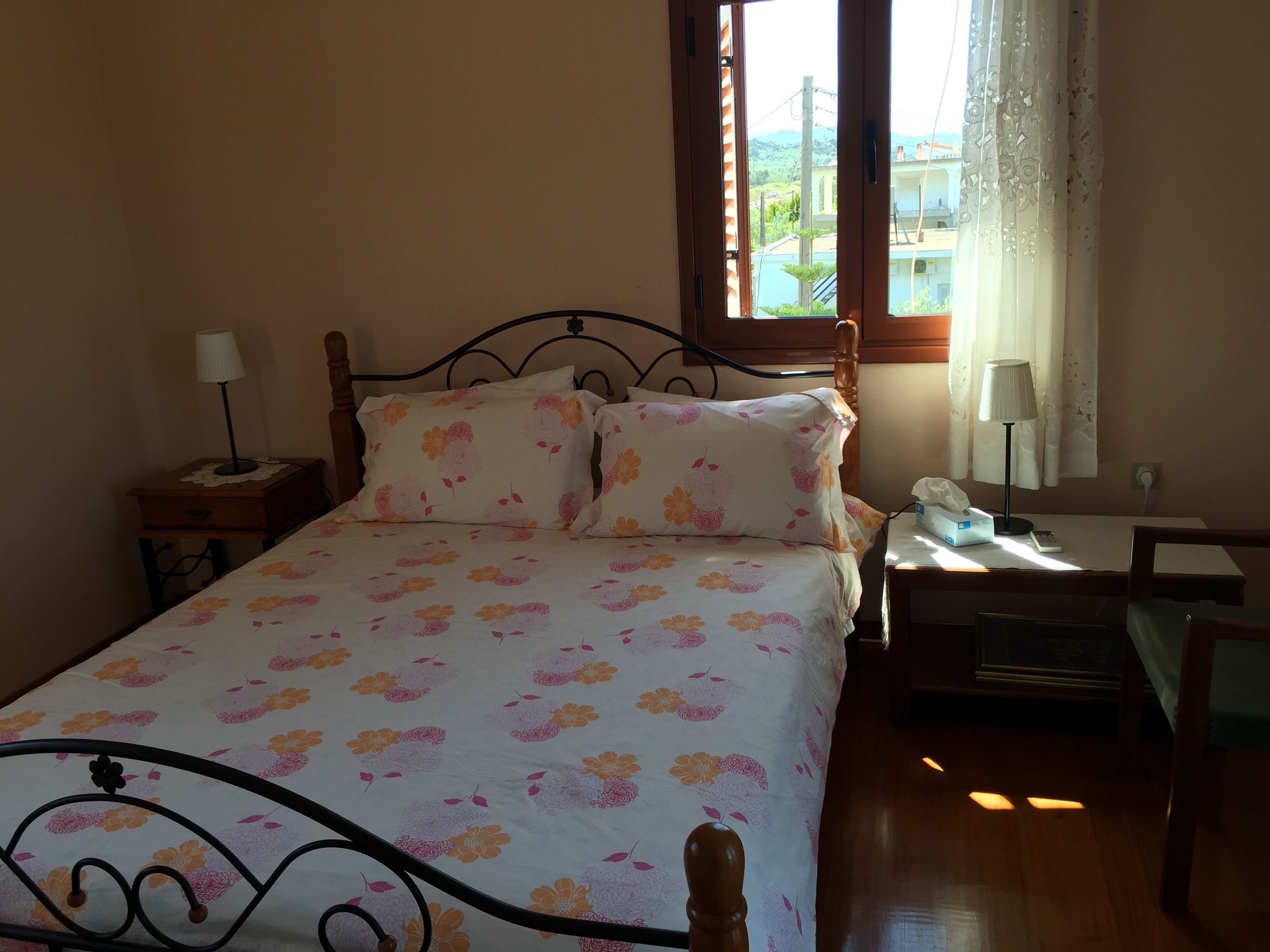 Beautiful private home in Zacharo