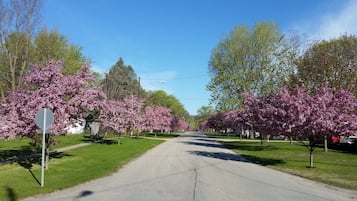 Jardines del alojamiento