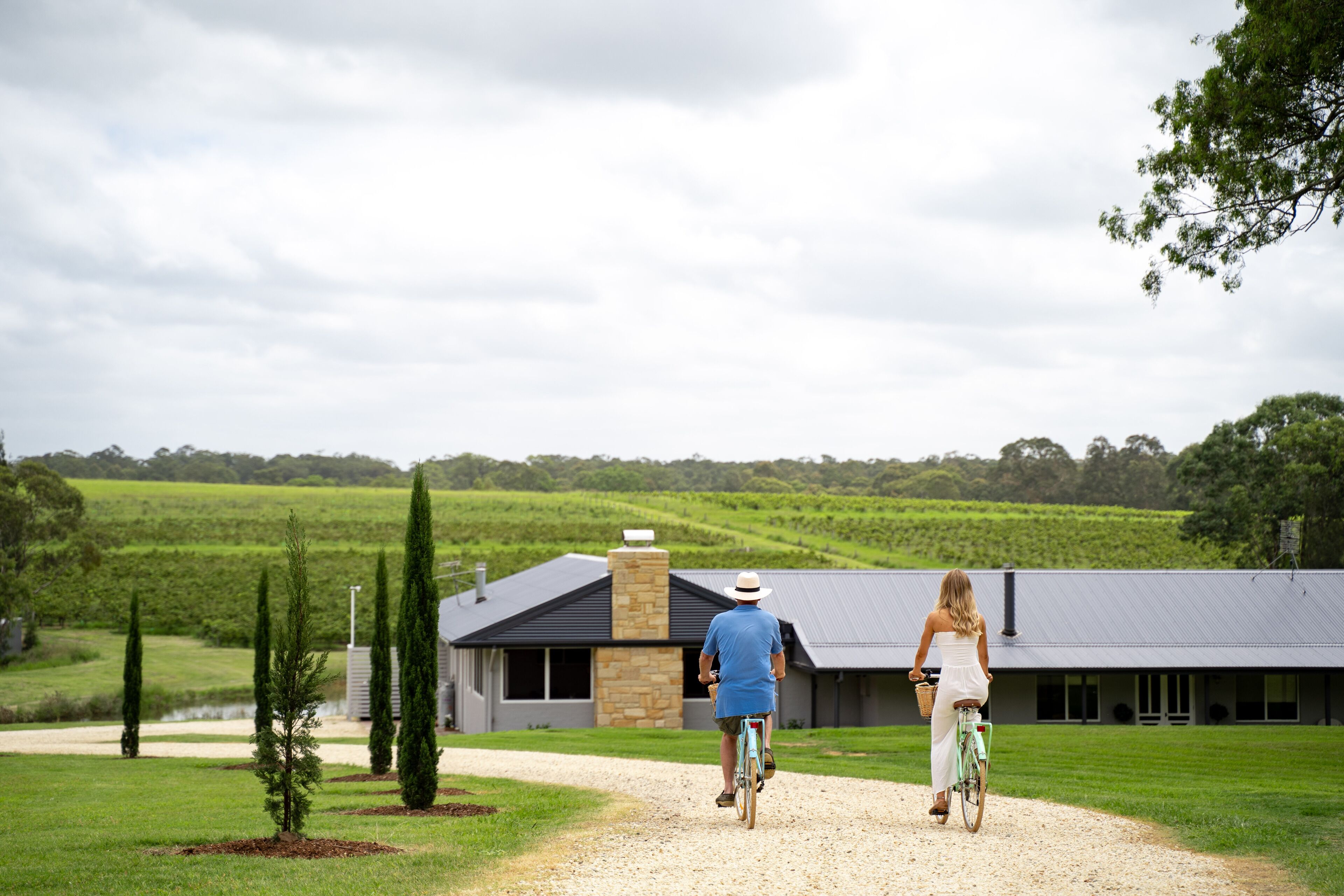 Vico Monti - Homestead amongst the vines