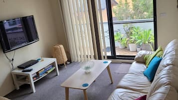 TV, DVD player, books, stereo