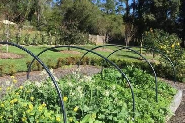 Área da propriedade