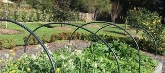 Garden Hill Spa Retreat: Beautiful Sandstone Cottage: Swimming pool/Tennis court