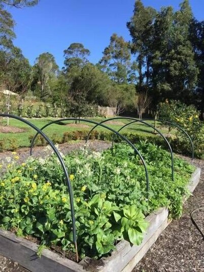 Garden Hill Spa Retreat: Beautiful Sandstone Cottage: Swimming pool/Tennis court