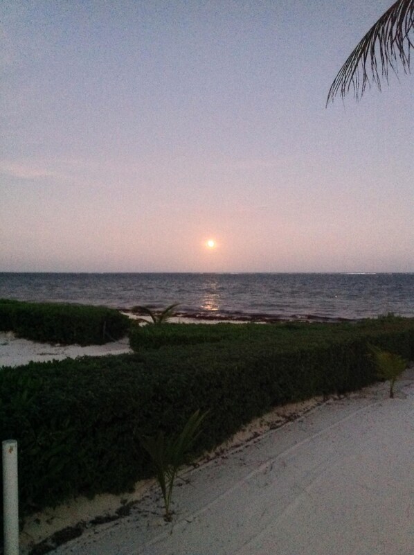 On the beach, sun-loungers, beach towels