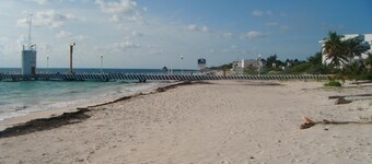 Beach Front with Pool: 