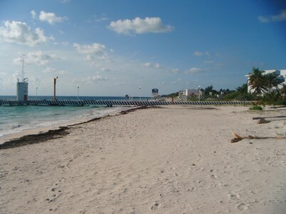 Beach Front with Pool: 