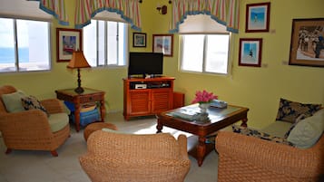 TV, toys, books, video library