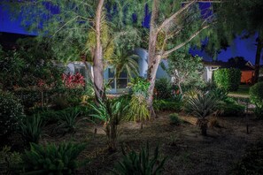 A landscaped garden with various plants and trees, a building with a glass door, and a house in the background. - Oasis in the heart of Equestrian country (Wellington)