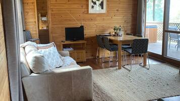 TV connectée, cheminée, lecteur de DVD, chaîne hi-fi