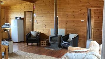 TV connectée, cheminée, lecteur de DVD, chaîne hi-fi