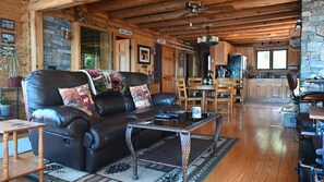 Smart TV, fireplace, DVD player, video library