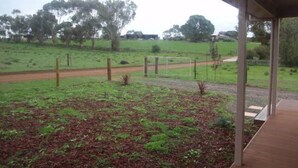 Un espace extérieur abrité avec un chemin de terre et de l’herbe verte.