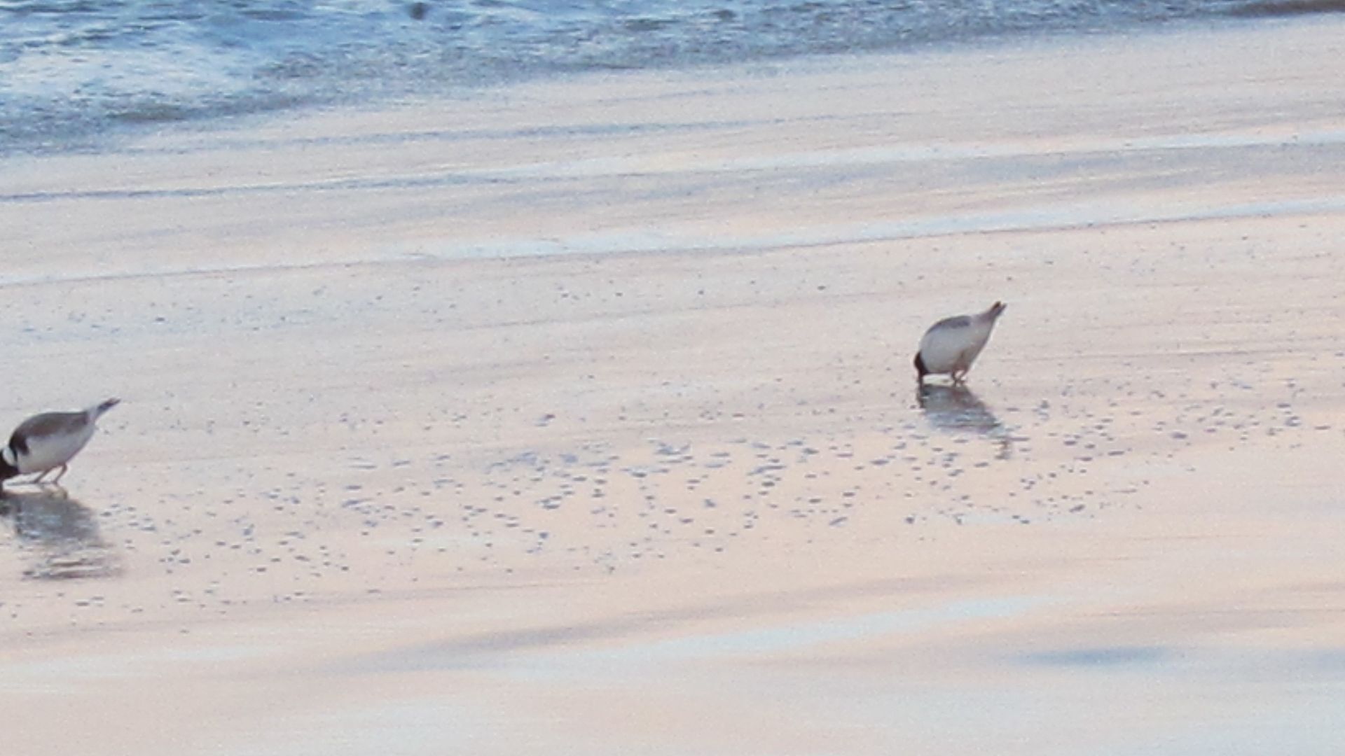 Spring Beach Cottage — image 27