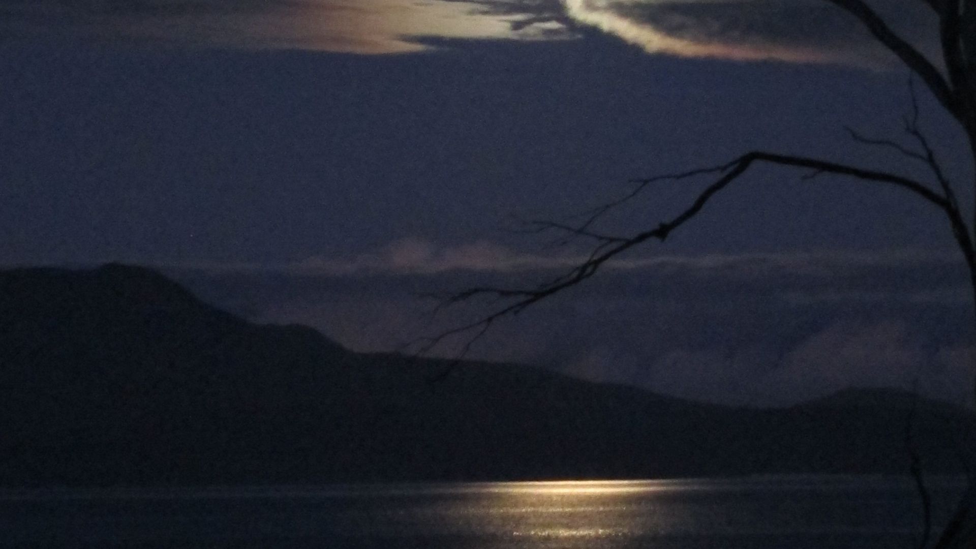 Spring Beach Cottage — image 6