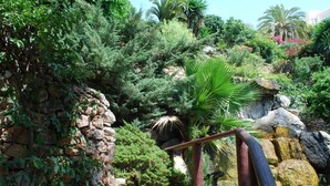 A staircase with stone walls and lush greenery, leading to a higher level.