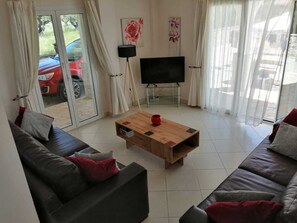 TV connectée, cheminée, livres, vidéothèque