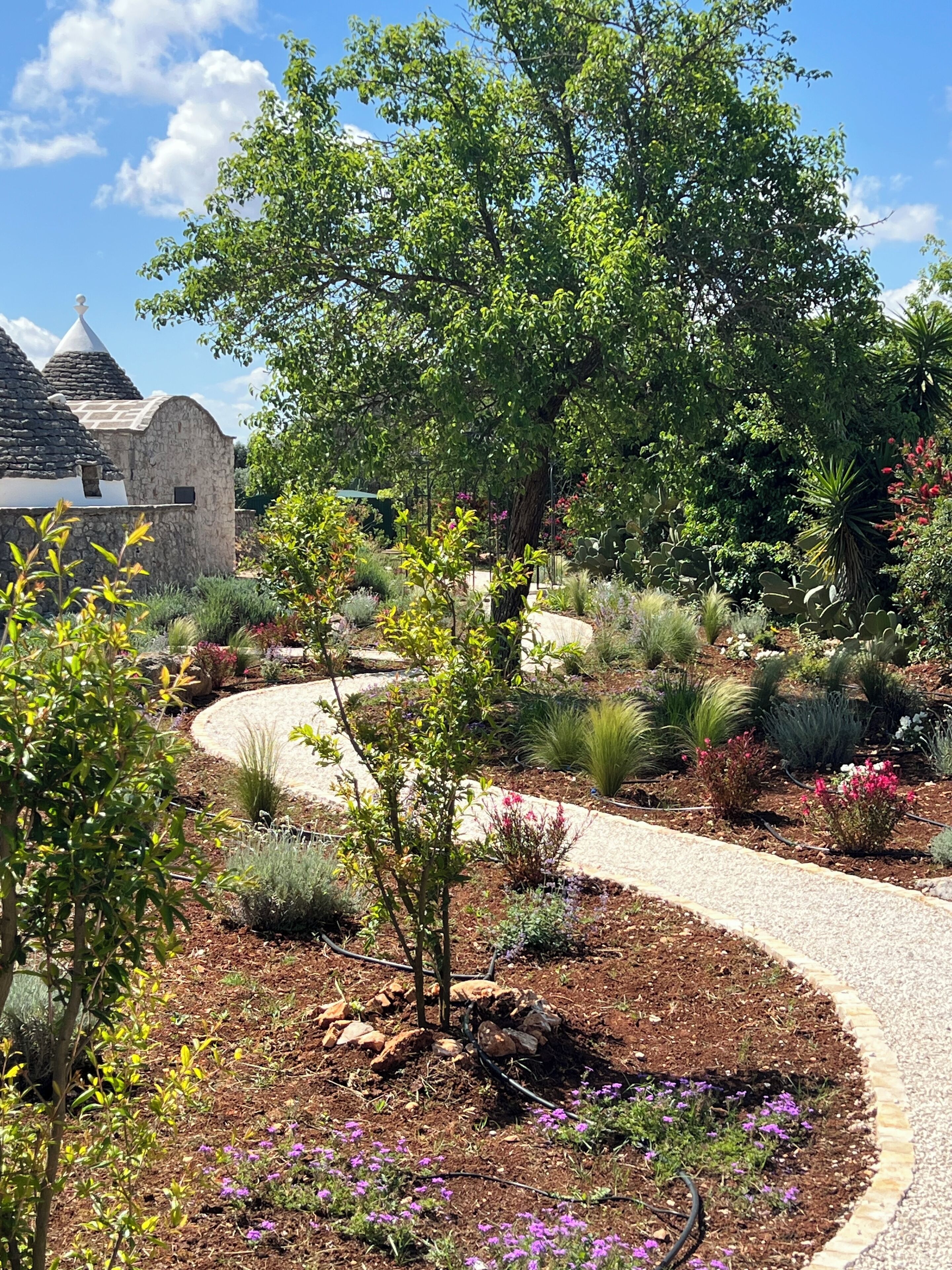 Àrea exterior de l'allotjament