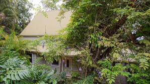 Uma casa cercada por vegetação tropical densa, com plantas de folhas grandes e trepadeiras floridas.