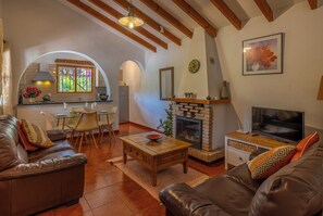 Smart TV, fireplace, books, music library