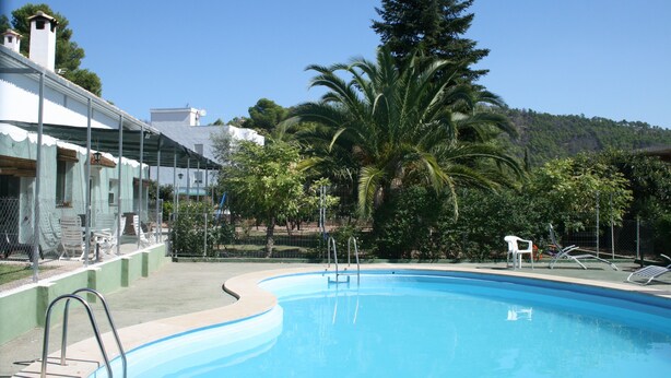 Ein Swimmingpool mit klarem, blauem Wasser, umgeben von einem Zaun, mit einer Palme im Hintergrund.