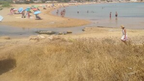 Una playa con gente, sombrillas y un cielo despejado.