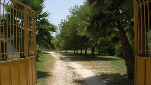 Un sendero que atraviesa un jardín con palmeras y una puerta amarilla.