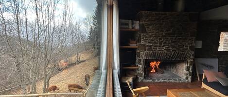 المنطقة المحيطة بالمنشأة