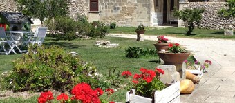 Masseria Salentina - NEGROAMARO