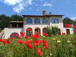 Exterior - Holiday home La Quercia del Re (LISCIANO NICCONE)