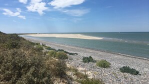 Eine Küstenlandschaft mit Kiesstrand, blauem Himmel und spärlicher Vegetation.