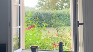 Ein Fenster mit Blick auf einen Garten.