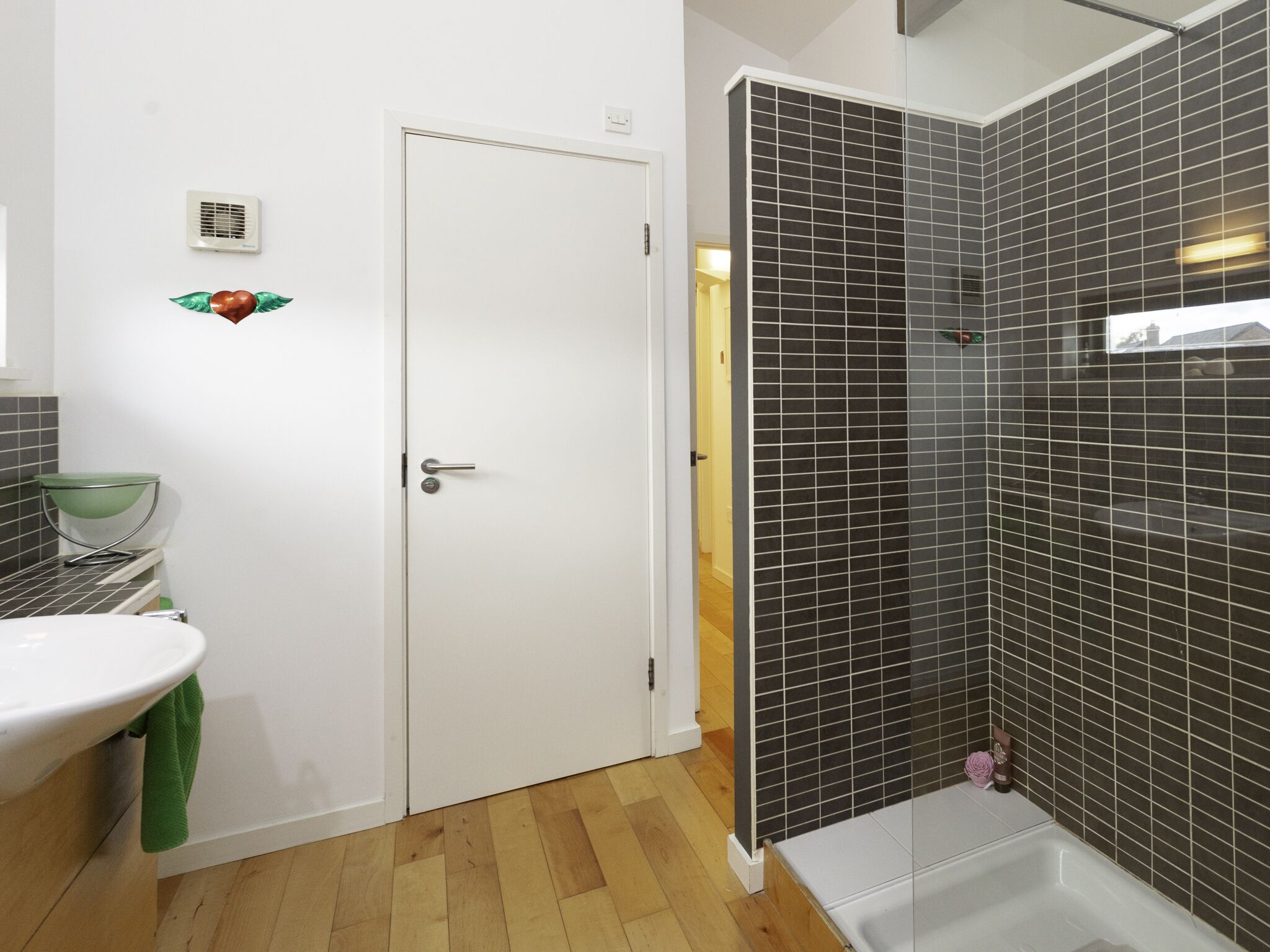 Duschwanne, Haartrockner, Handtücher, Seife