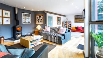 Smart TV, fireplace, DVD player, books