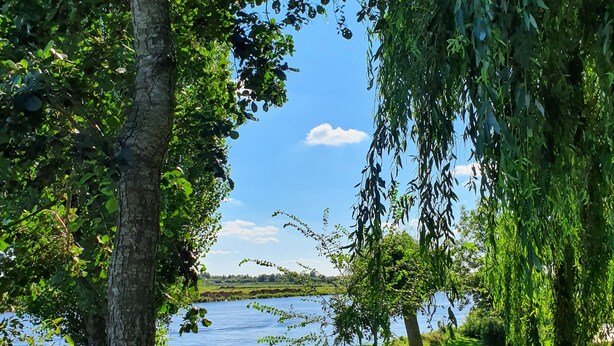 A serene lakeside garden with a wooden deck, lush greenery, and a clear view of the lake. - Unique farmhouse right on the water in a beautiful location (Warten)