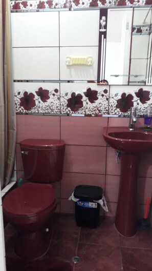 Shower, towels, soap, toilet paper - double room standard (lima)