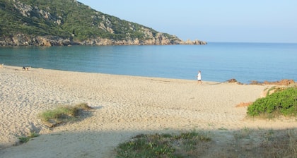 Apartment ideally located facing the sea, on the beach of Tizzano in Southern Corsica