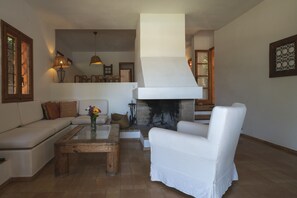 TV, fireplace, DVD player, ping pong