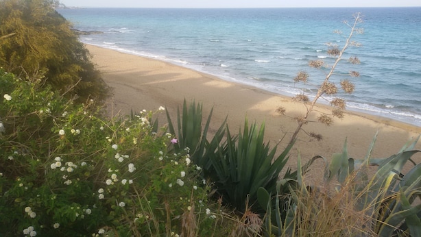 Une plage avec un rivage sablonneux et des vagues de l’océan.