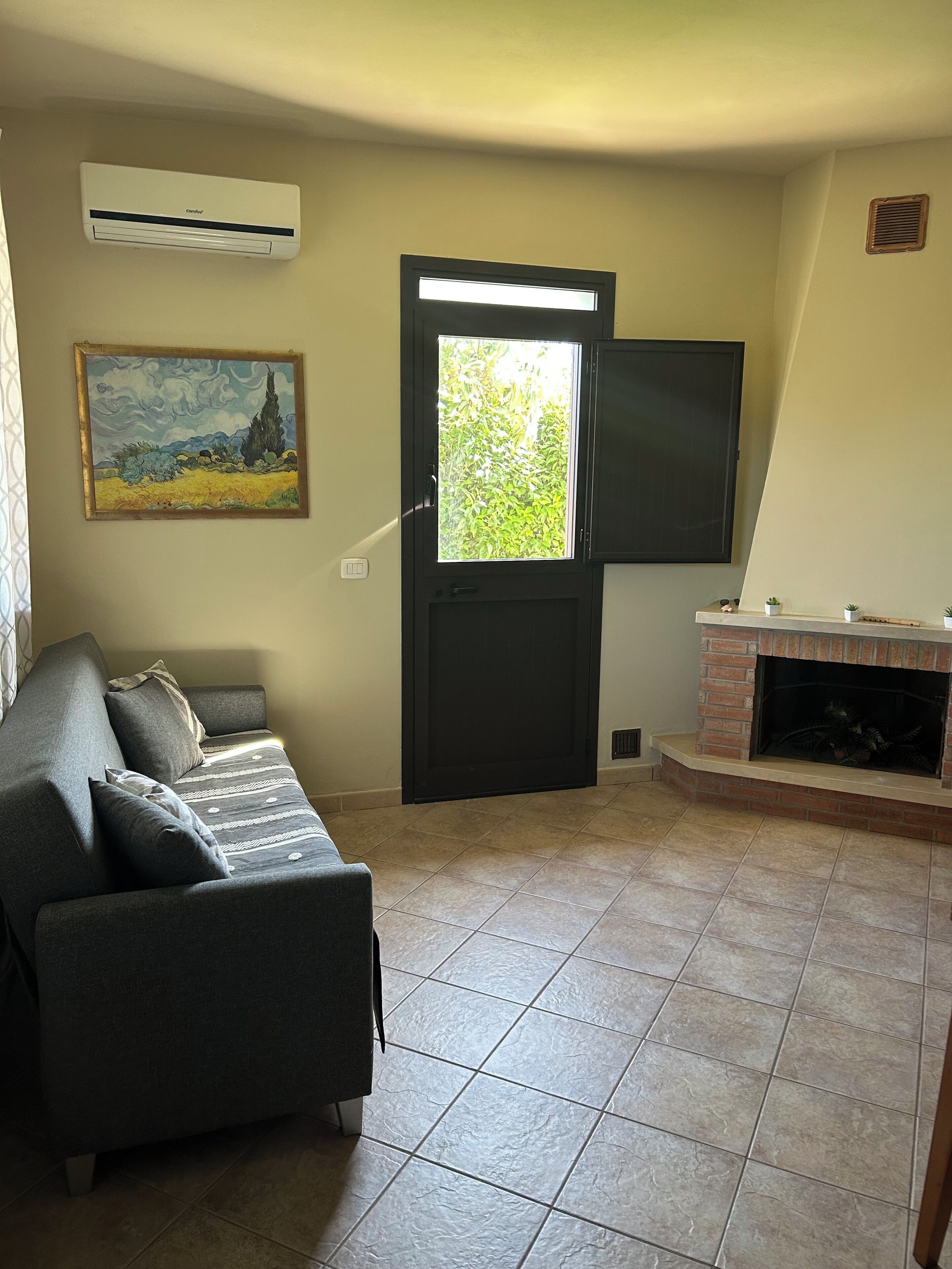 Smart TV, fireplace, books