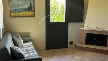 Smart TV, fireplace, books
