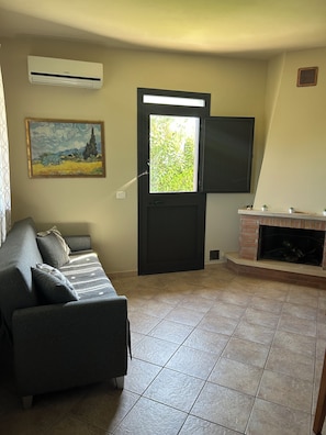 Smart TV, fireplace, books
