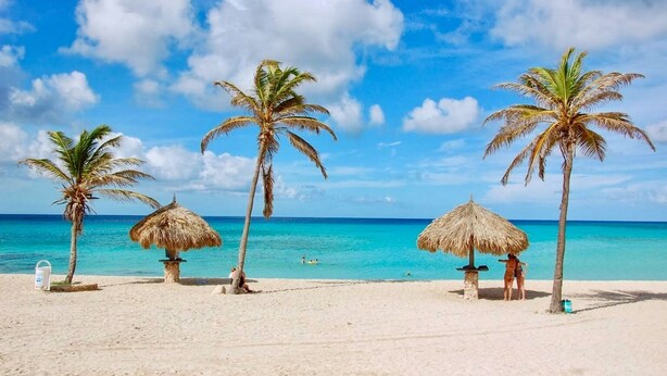 Ein Strand mit vier Palmen, einem Reetdachschirm und blauem Himmel.