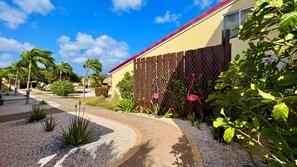 Property grounds - Vacation home with hotel service in sunny garden with pool, close to beach (Oranjestad)
