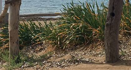 Villa in the green with private garden and panoramic balcony, 10 minutes from the sea